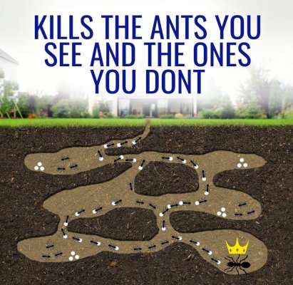 ANT REPELLENT GEL เจลกำจัดมด 12 ชิ้นราคาส่ง 200 บาท