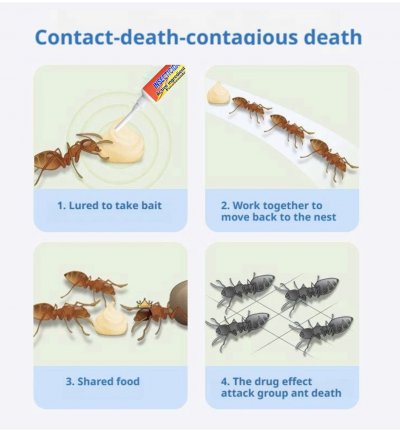 ANT REPELLENT GEL เจลกำจัดมด 12 ชิ้นราคาส่ง 200 บาท