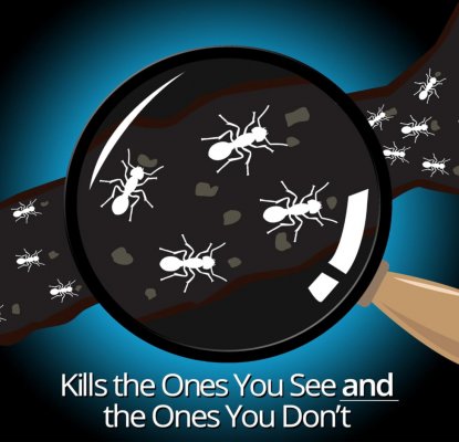 ANT REPELLENT GEL เจลกำจัดมด 12 ชิ้นราคาส่ง 200 บาท