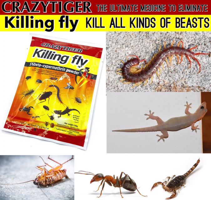  Crazytiger Killing Fly ผงกำจัดแมลงสัตว์ ร้ายแบบผง ตายแห้งสนิท 12 ชิ้นราคา 200 บาท