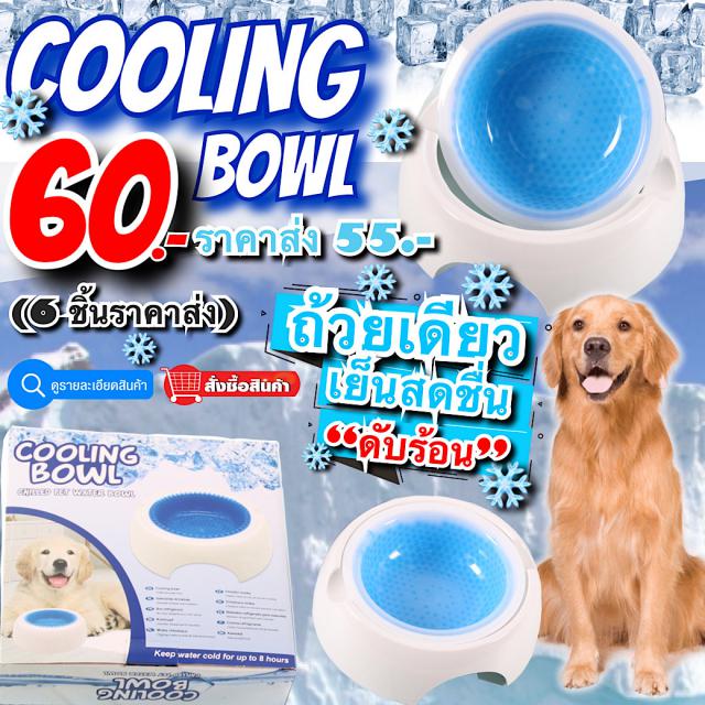 cooling bowl ถ้วยน้ำเจลเย็น สำหรับสัตว์เลี้ยง ราคาส่ง 55 บาท