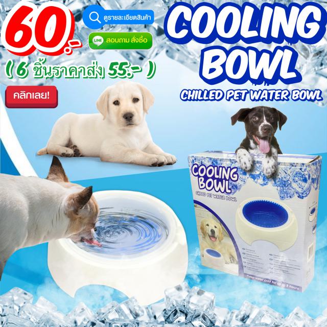 Cooling bowl ชามเจลโซลูชั่นสัตว์เลี้ยง ราคาส่ง 55 บาท