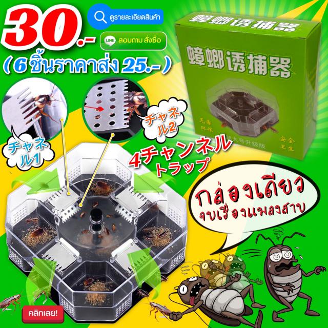 Cockroach trap box กล่องดักแมลงสาบ 4 ทิศทาง ราคาส่ง 25 บาท