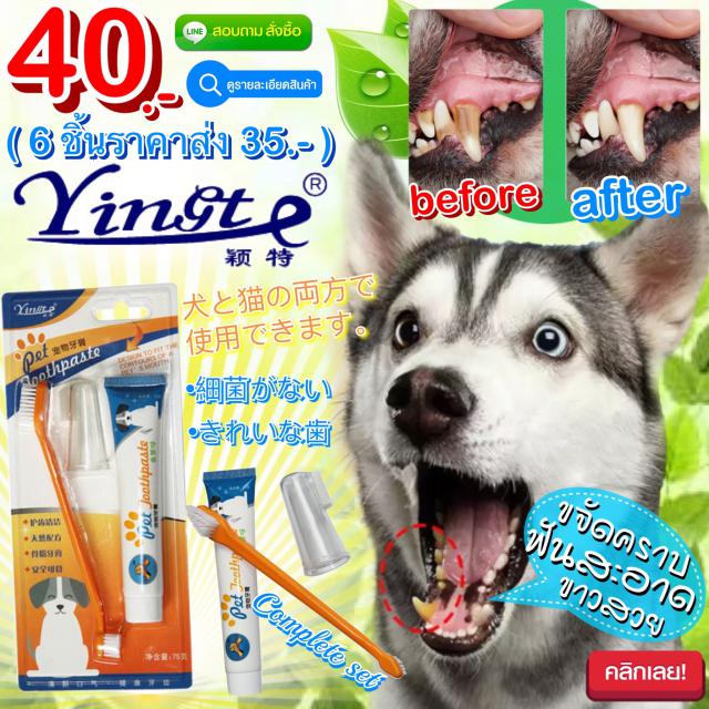 Yingte Animal toothpaste brush set ชุดแปรงยาสีฟันสัตว์เลี้ยง ราคาส่ง 35 บาท