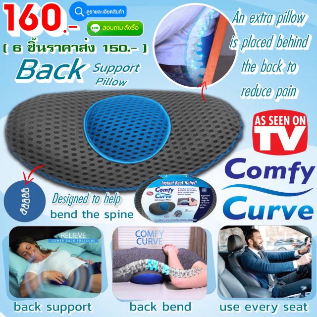 As Seen on TV Comfy Curve Back Support Pillow