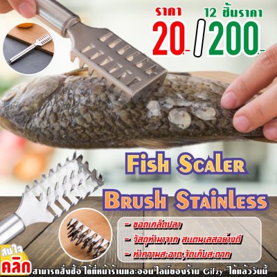 Fish Scaler Brush Stainless แปรงขอดเกล็ดปลา สแตนเลส 12 ชิ้นราคาส่ง 200 บาท
