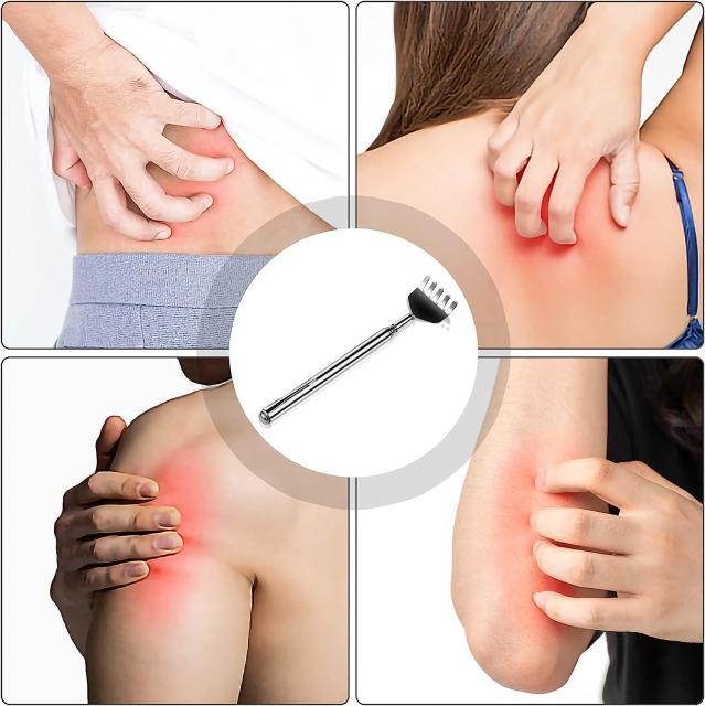 Stainless steel back scratcher ไม้เกาหลังสแตนเลส 12 ชิ้นราคา 200 บาท