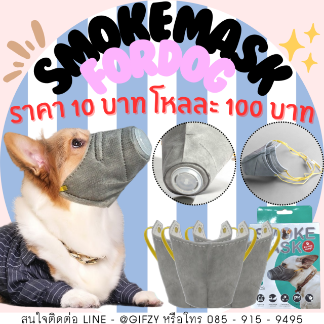 Smoke Mask For dog แมสสำหรับน้องหมา โหลละ 100 บาท