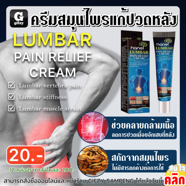 Lumbar pain relief cream ครีมสมุนไพรแก้ปวดหลัง 12 ชิ้นราคาส่ง 200 บาท