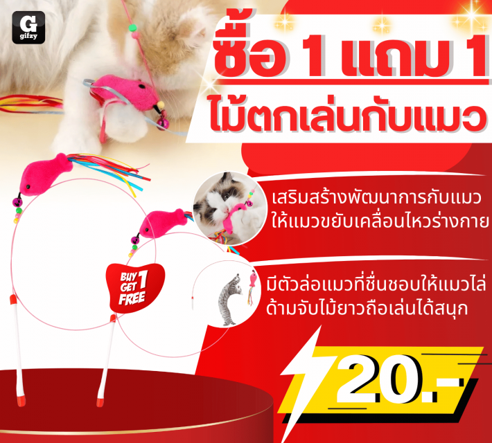 Cat toy stick ไม้ตกเล่นกับแมว ซื้อ 1 แถม 1