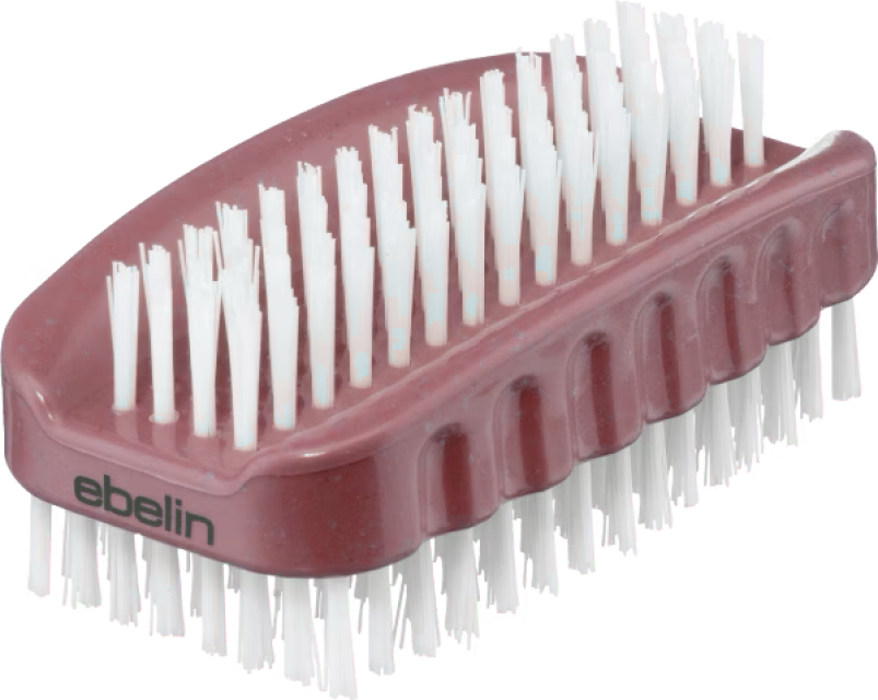 ebelin Scrubbing brush แปรงขัดอเนกประสงค์ 12 ชิ้นราคาส่ง 100 บาท