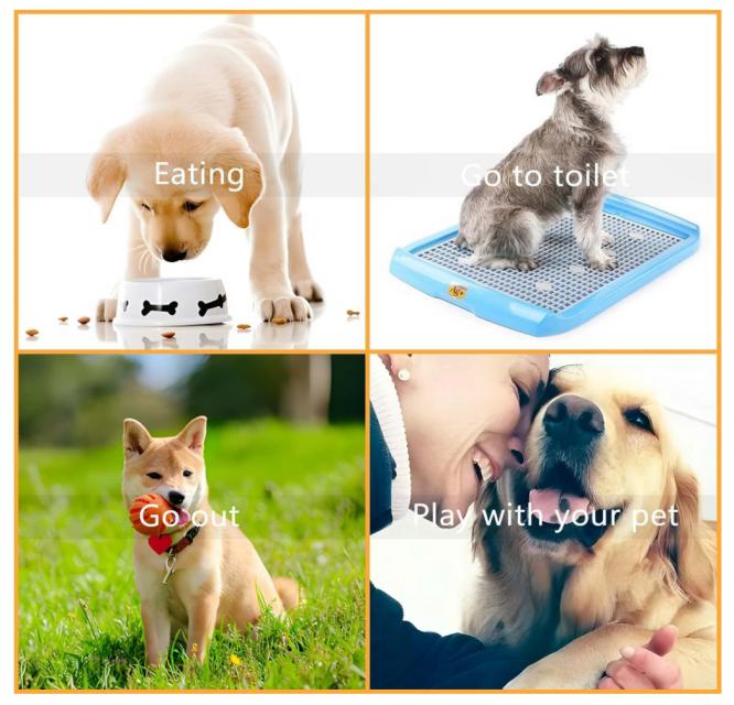 DOG TRAINING BELL กระดิ่งฝึกสุนัข 12 ชิ้นราคาส่ง 200 บาท