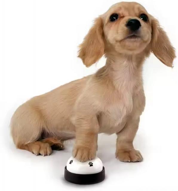 DOG TRAINING BELL กระดิ่งฝึกสุนัข 12 ชิ้นราคาส่ง 200 บาท