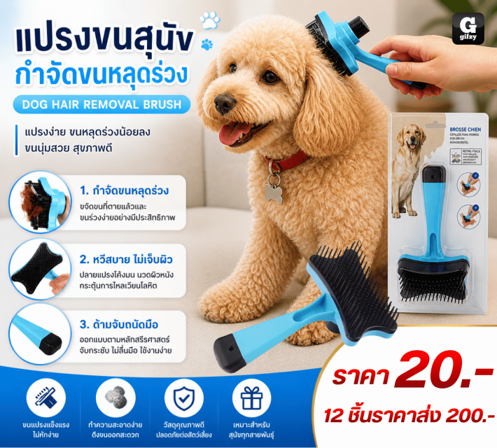 DOG HAIR REMOVAL BRUSH แปรงขนสุนัขกำจัดขนหลุดร่วง 12 ชิ้นราคาส่ง 200 บาท