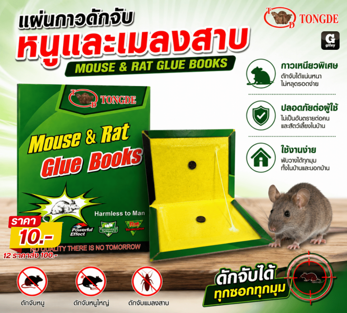 MOUSE RAT GLUE BOOKS แผ่นกาวดักจับหนู 12 ชิ้น