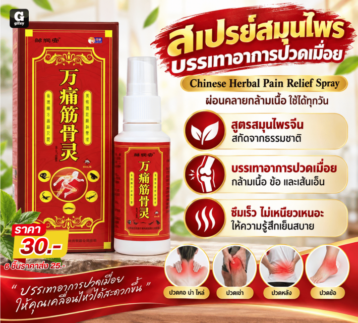 Chinese Herbal Pain สเปรย์สมุนไพรบรรเทาอาการปวด