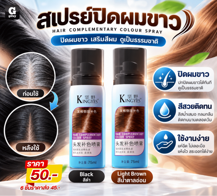 HAIR COMPLEMENTARY COLOUR SPRAY สเปรย์ปิดผมขาว