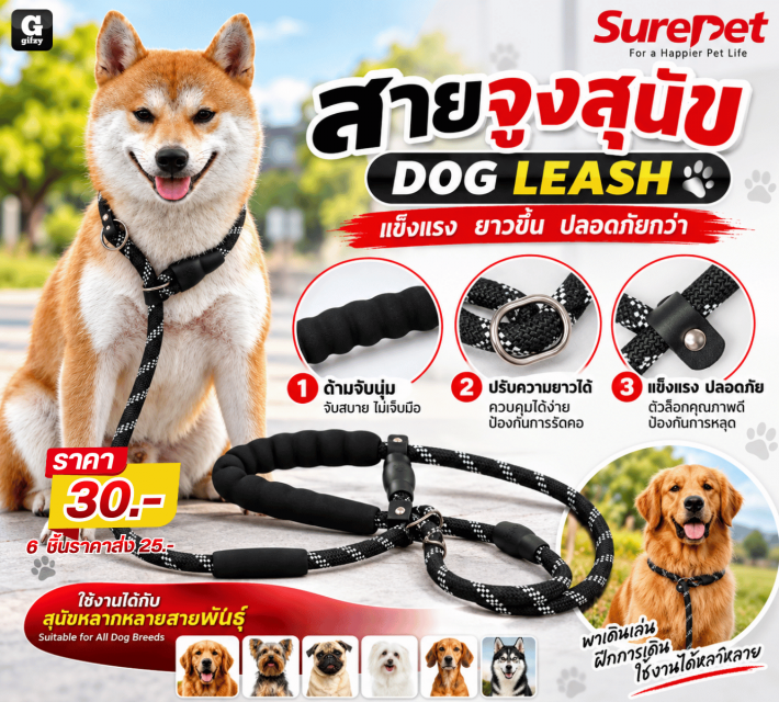 DOG LEASH สายจูงสุนัข ราคาส่ง 25 บาท