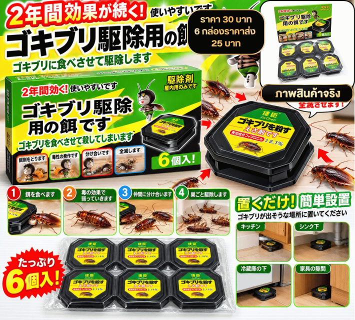 Cockroach Bait Trap กล่องเหยื่อกำจัดแมลงสาบ