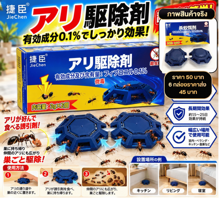 Ant Bait Trap กล่องเหยื่อกำจัดมด ราคาส่ง 45 บาท